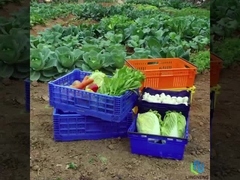 กล่องกระเป๋าพับเบา 27L ผักผลไม้หมุนเวียน Mesh กระเป๋าที่มีมือ